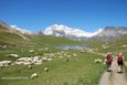 Plan du Lac Haute Maurienne