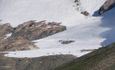 Bouquetins sous l'Aiguilles des Glaciers