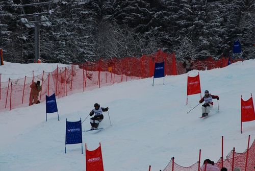 Coupe du monde de ski de bosse freestyle 